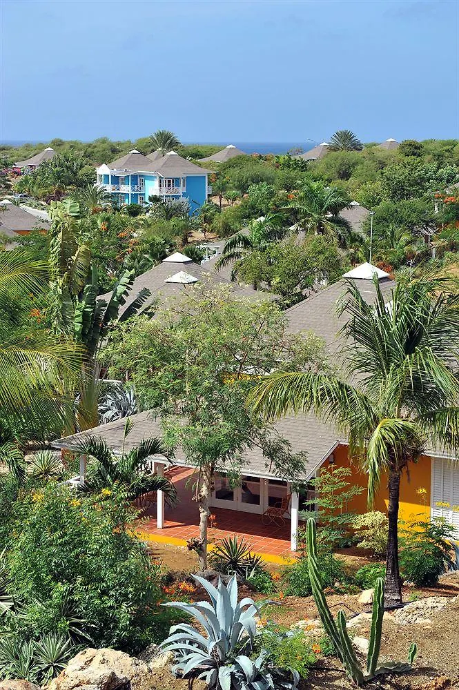 Chogogo Resort Curacao Curaçao