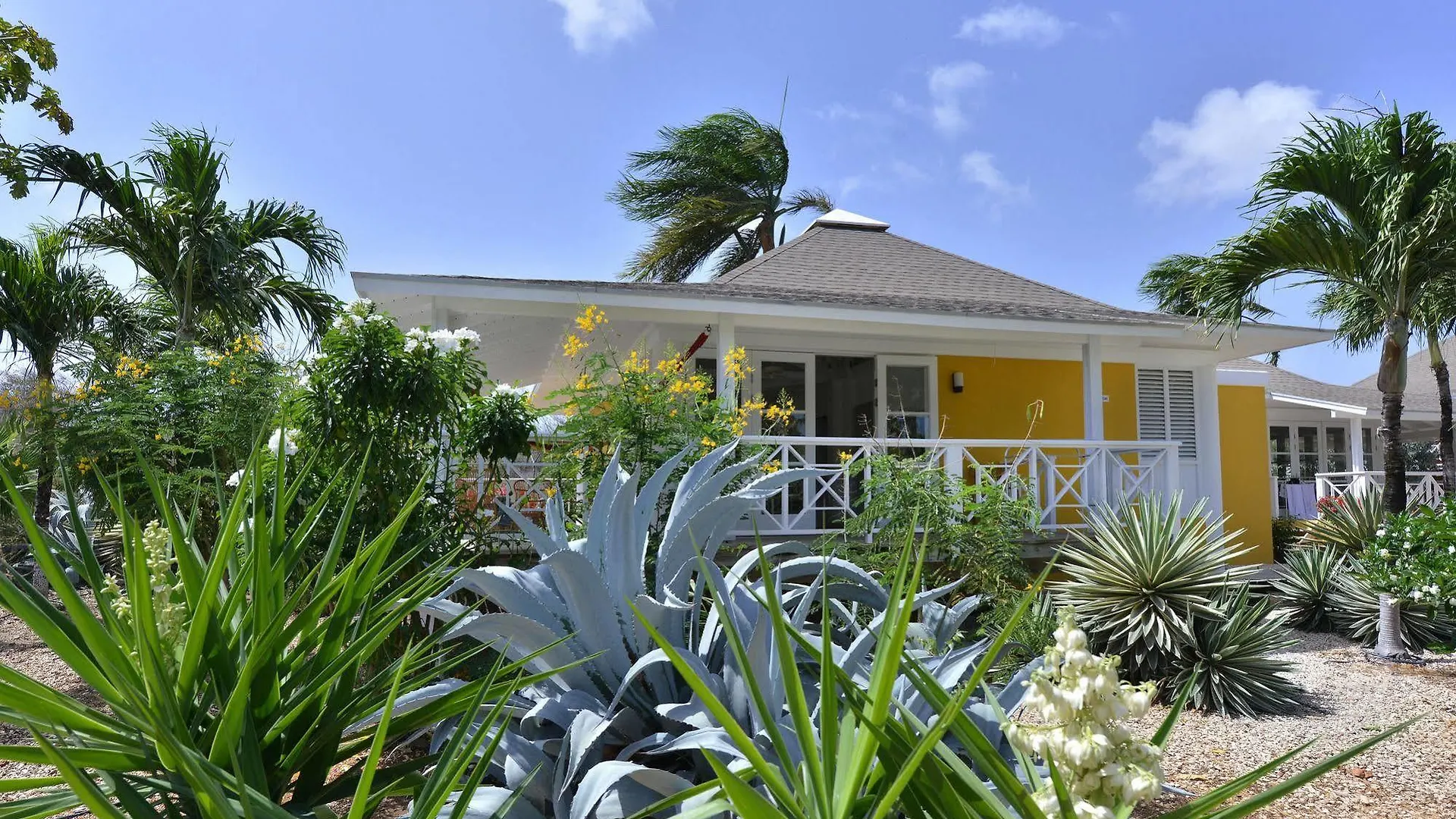 **** Hotel Chogogo Dive & Beach Resort Curacao Curacao